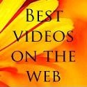 Best videos online : videos, entertainment,funny, you tube, best videos