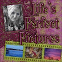 Life's Perfect Pictures : Life looks better through the lens!