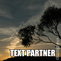 TEXT PARTNER : messages * quotes*