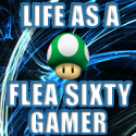 Life as a Flea Sixty Gamer : 