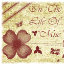 In The Life Of ...Mne : SAHM daily musing