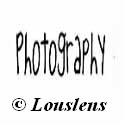 The Shutterbug : Photography Is My Passion