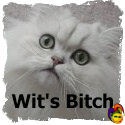 Wit's Bitch : a slave to sarcasm