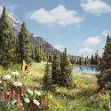 Amazing Worlds : Amazing