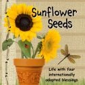 Sunflower Seeds : Life with four internationally adopted blessings