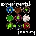 One Photo Project : A travelling camera is sent out to the world and back...