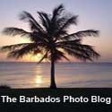 The Barbados Photo Blog : Pictures of Barbados 