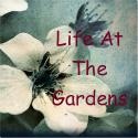 Life at the Gardens : Finding the flowers amongst the thorns
