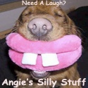 Blog Of Silly Stuff : Funny, Silly and Stupid Stuff I Get In Emails Or On The Net