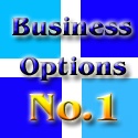 Business Options No.1 : Business options, Online business, internet marketing, business opportunities 