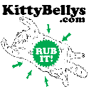 KITTYBELLYS : A Collecshun of the best kitty belleh on the planet