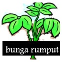 bunga rumput : 
