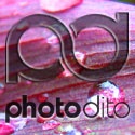 photodito.blogspot : 