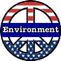 A World of Progress TeamZine Environment : CyberCelt