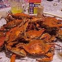 Maryland Meals : it's not just food...it's a meal