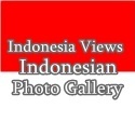 Indonesian Photos Gallery : Indonesia, Indonesian, Photos, Gallery