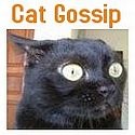 Old Cat Gossip : The Moggy Mouth