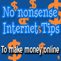 No Nonsense Internet Tips : Dispelling the fluff in Internet Marketing