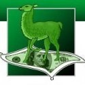 Llama Money : It's not just money - it's Llama money.