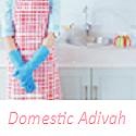 Domestic Adivah : A Princess' View of Life, Love and Daily Dirt