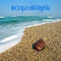 schizoshrink : soar high!