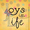 Joys in Life : simple and even the complicated joys in life