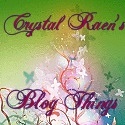 CrystalRaen's Recycled Craft Things : Handmade Blogs