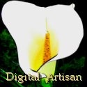 Digital Artisan : from the eye of the beholder...
