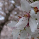 lifedayemotions : lifestyle day emotions life