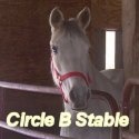 Circle B Horse News : specializing in Family and Trail Horses