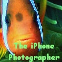 The iPhone Photographer : Authentic and unedited