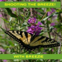 Shooting the breeze with Breezie : 