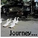 Journey : Life / Destiny