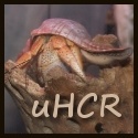 Utah Hermit Crab Rescue : Utah Hermit Crab Rescue