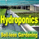Hydroponics : Soil-less gardening