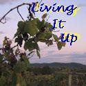 Living It Up : Living life to the fullest