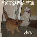 Photographs From Here : My journey through Project 365