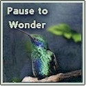 A Scientific Journey : Pause to Wonder