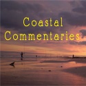 Coastal Commentaries : from a southern belle turned beach bum