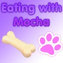 Eating with Mocha : 