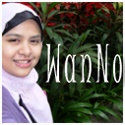 WanNo's Personal Blog : News, lifestyle, education, entertainment, money, hobbies