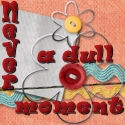 Never Dull : Never a Dull Moment