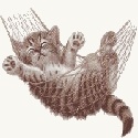 Skiito, Peanut and Chyanne : boxer, tabby,cats,ginger, dogs,animals