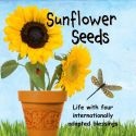 Sunflower Seeds : Life with four internationally adopted blessings