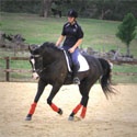 Once Upon A Dressage Dream : THE ADVENTURES AND MUSINGS OF A FUTURE DRESSAGE QUEEN