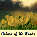 Colors of the Woods Jewelry Blog : Copper and gemstone beaded jewelry and gifts