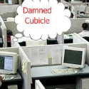 This Damned Cubicle : Coming to You Live From Northampton, Massachusetts
