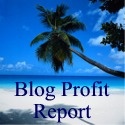 Blog Profit Report : I Make My Money Online by Blogging