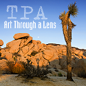 The Photographic Aspect : Art through a Lens