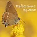 Reflections by Mariz : Musings on day-to-day living